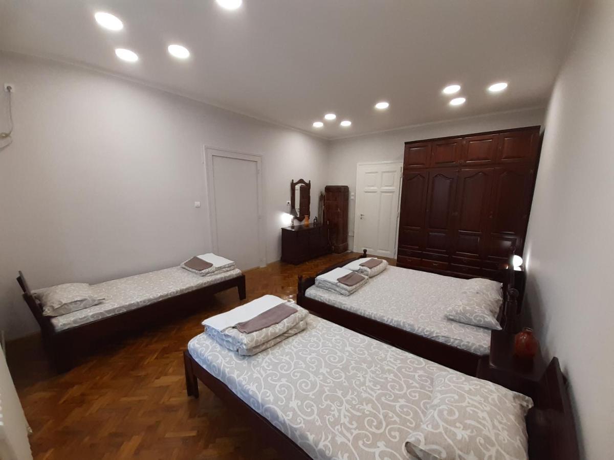 נובי סאד Downtown Apartment In Walk Zone With 3 Bedrooms And Garage מראה חיצוני תמונה