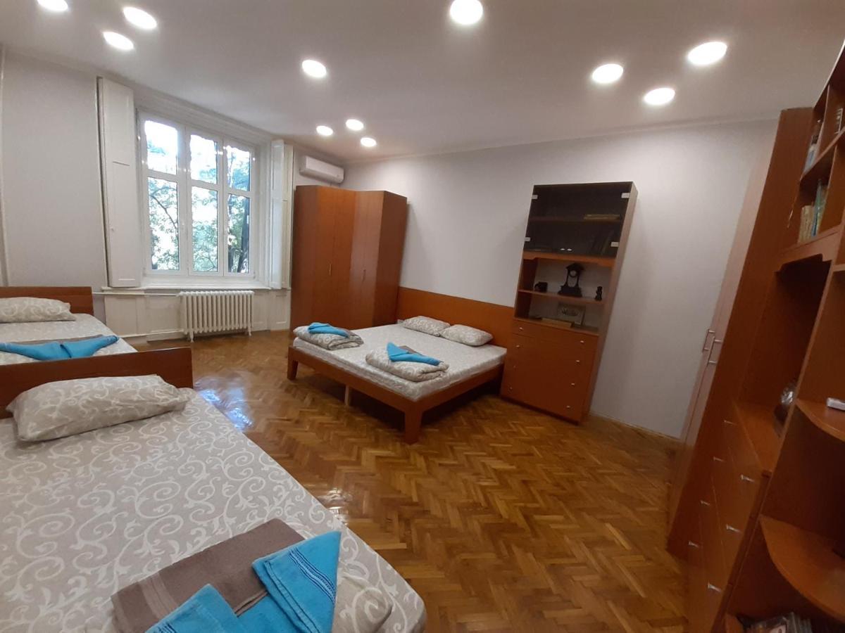 נובי סאד Downtown Apartment In Walk Zone With 3 Bedrooms And Garage מראה חיצוני תמונה