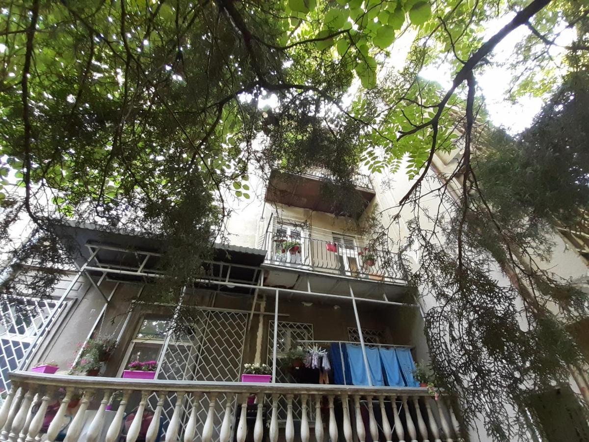 נובי סאד Downtown Apartment In Walk Zone With 3 Bedrooms And Garage מראה חיצוני תמונה