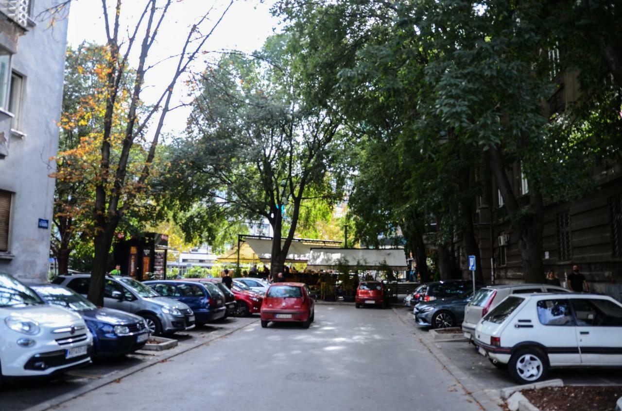 נובי סאד Downtown Apartment In Walk Zone With 3 Bedrooms And Garage מראה חיצוני תמונה