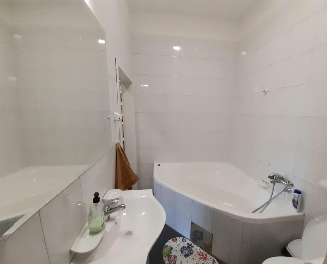 נובי סאד Downtown Apartment In Walk Zone With 3 Bedrooms And Garage מראה חיצוני תמונה